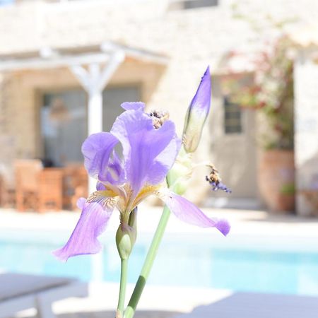 Laini Luxury Suites Pombia Buitenkant foto