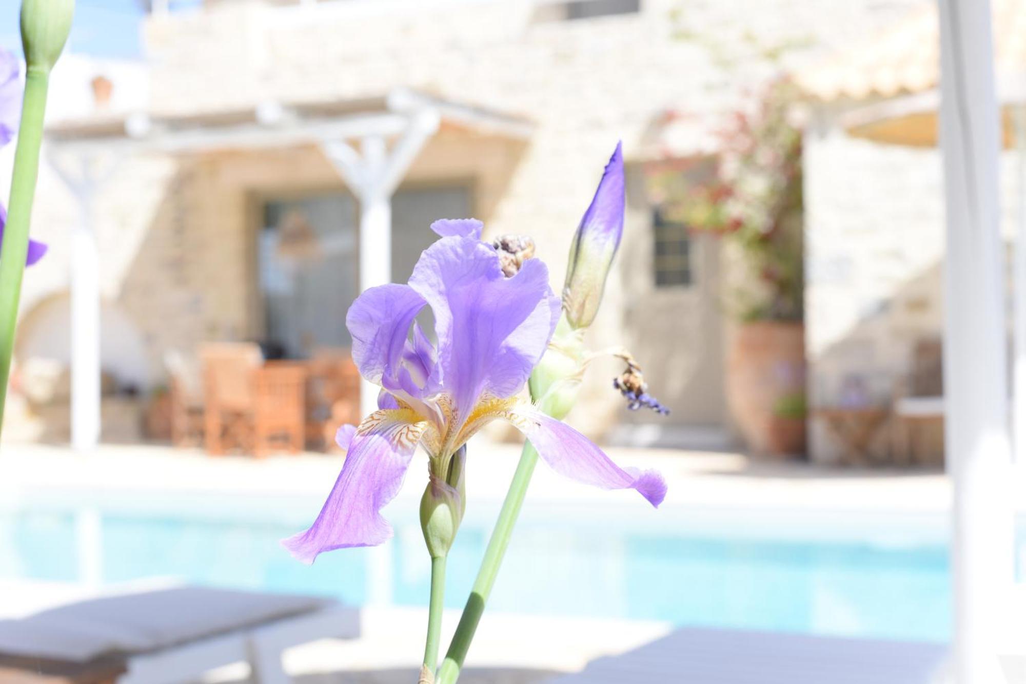 Laini Luxury Suites Pombia Buitenkant foto
