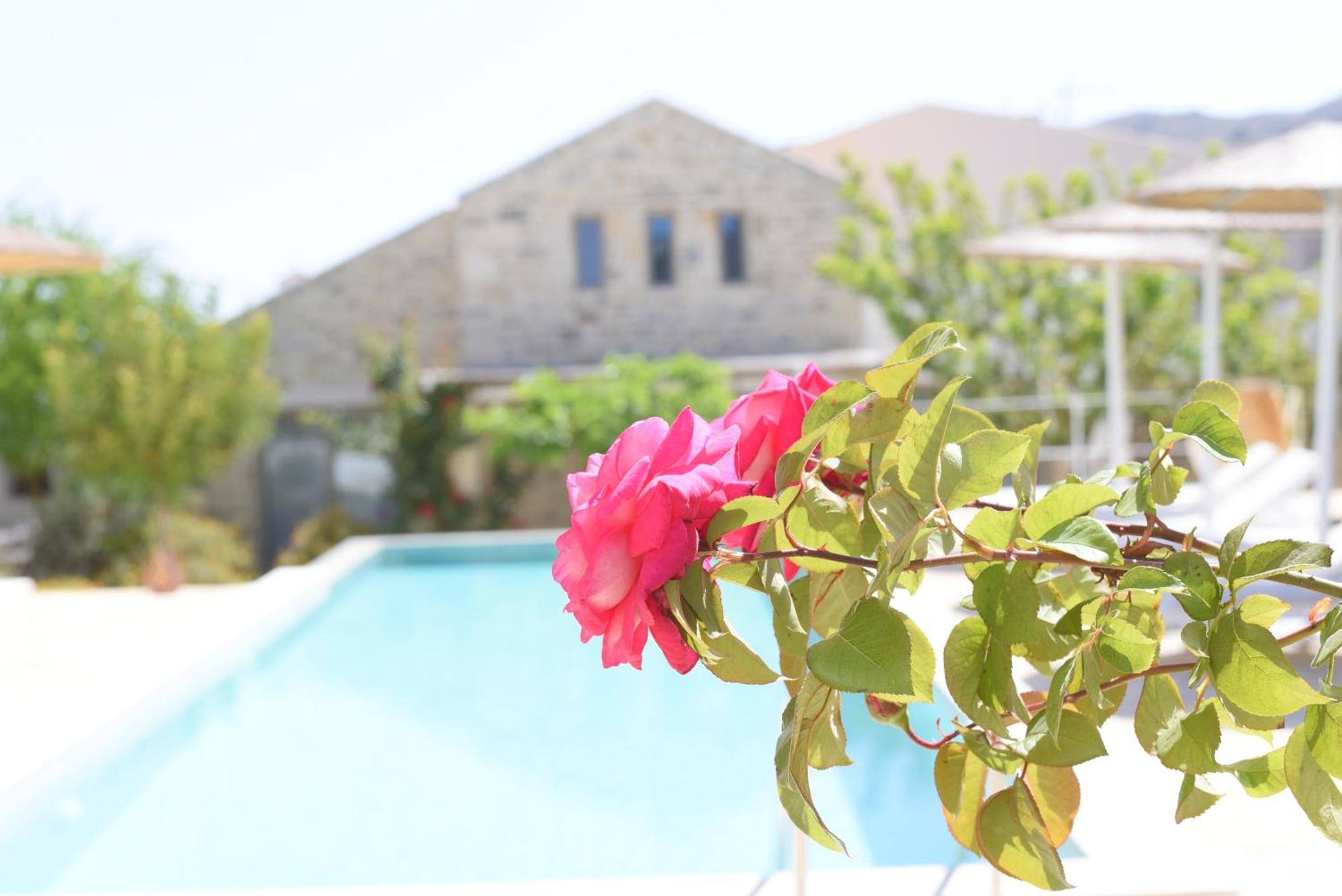 Laini Luxury Suites Pombia Buitenkant foto